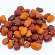 Iron And Clay Southern Cowpea 50 Seeds Civil War Era Variety Drought Hardy South - £9.22 GBP