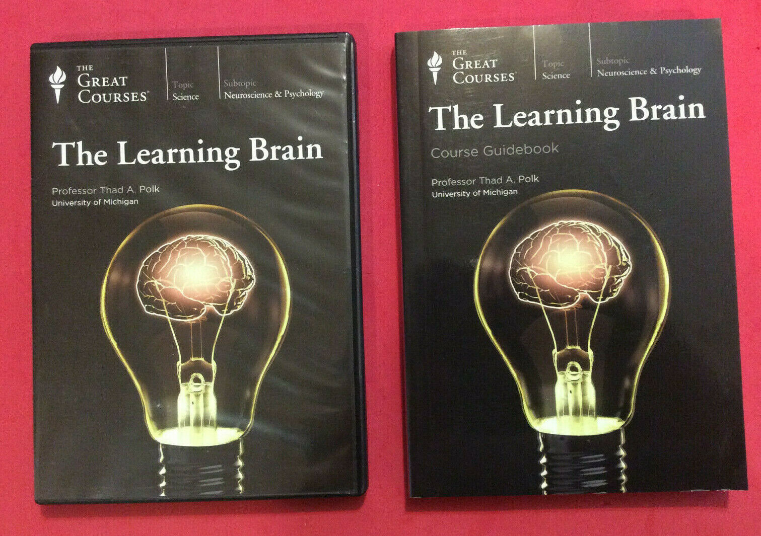 THE LEARNING BRAIN - COURSE GUIDEBOOK and CD&#39;S by THAD A. POLK - $59.95