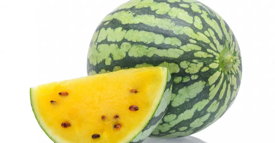 Watermelon Yellow Petite Heirloom Fruit Groco Usa Buy 11 Seeds - £7.82 GBP