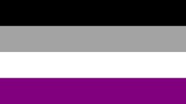 ASEXUAL PRIDE 3 X 5 FLAG 3x5 banner FL662 hanging polyester superknit 3x5 new - £5.23 GBP