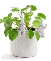 Gnome Pot Plant Huggers Set 4 Different Poses Grey 4.5"  Resin Garden Home Decor image 2