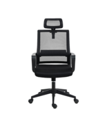 Ergonomic Office Chair with Lumbar Support and Adjustable Headrest - $149.99