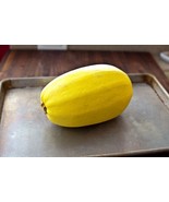 30+ Spaghetti Squash Seeds - €7,79 EUR