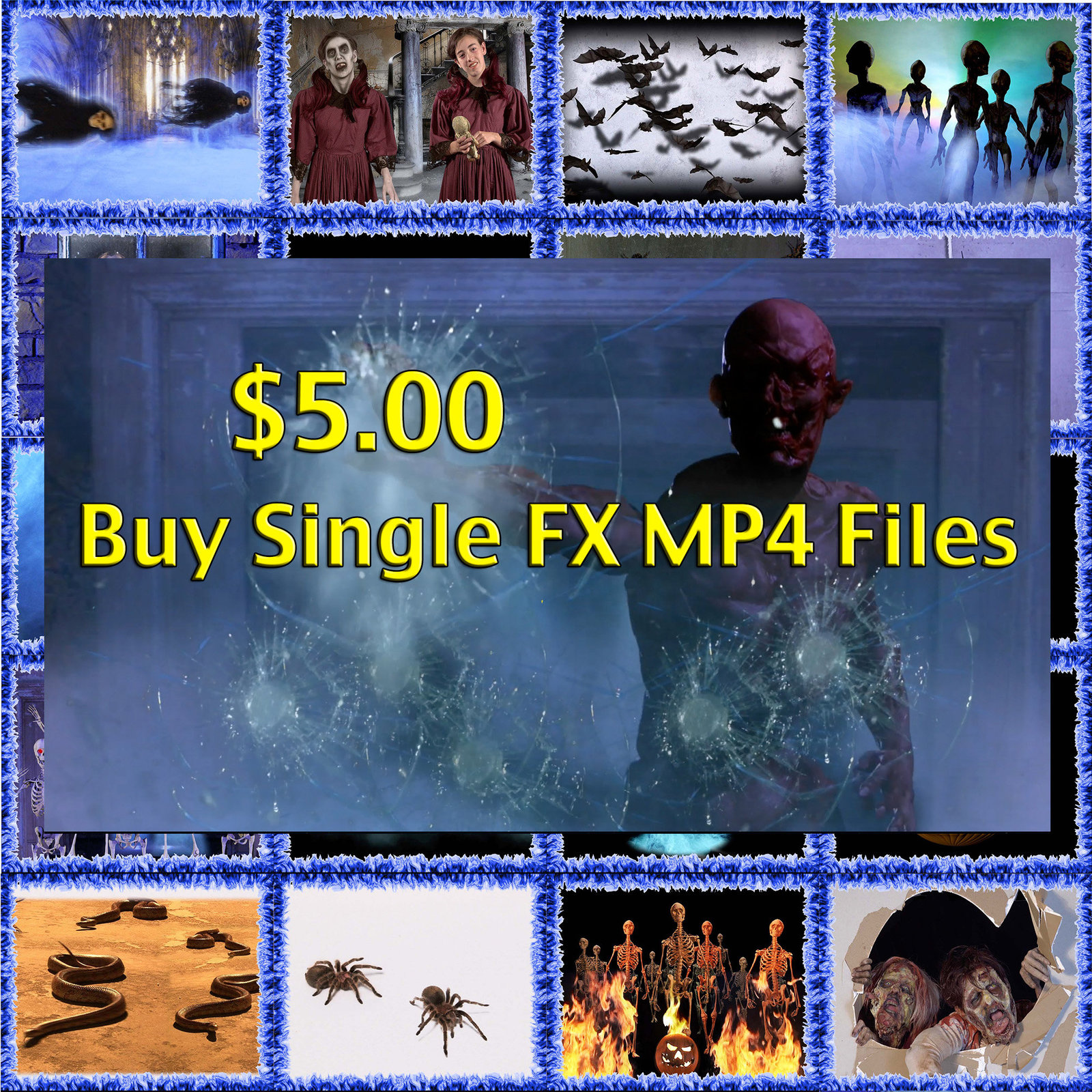 Single Video FX clips - $5.00