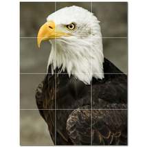 Bird Ceramic Tile Wall Mural Kitchen Backsplash Bathroom Shower P500199 - £94.55 GBP+