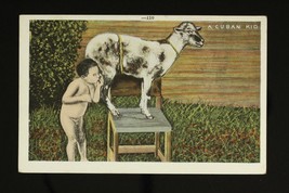 Vintage Paper Cuban Kid 110 Goat Linen Humor Postcard Cuba EC Kropp 12394 - £5.97 GBP