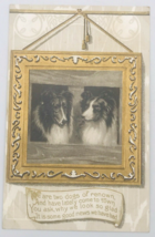 Antique 1911 Embossed 2 Scotch Collies Dogs in Golden Frame Postcard - £7.58 GBP
