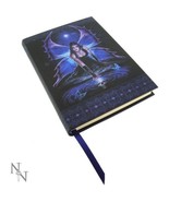 7 Inches Immortal Flight Embossed Journal By Anne Stokes by Pacific Gift... - $18.99