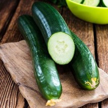 40 Tendergreen Burpless Cucumber Seeds Non Gmo Heirloom Free Shipping - £3.34 GBP