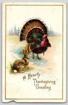 Postcard A Hearty Thanksgiving Greetings! Embossed Turkey Rabbit - £3.98 GBP