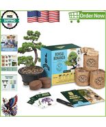 Elegant Bonsai Tree Kit - Perfect Gift for Gardening Enthusiasts &amp; Begin... - $69.92 CAD