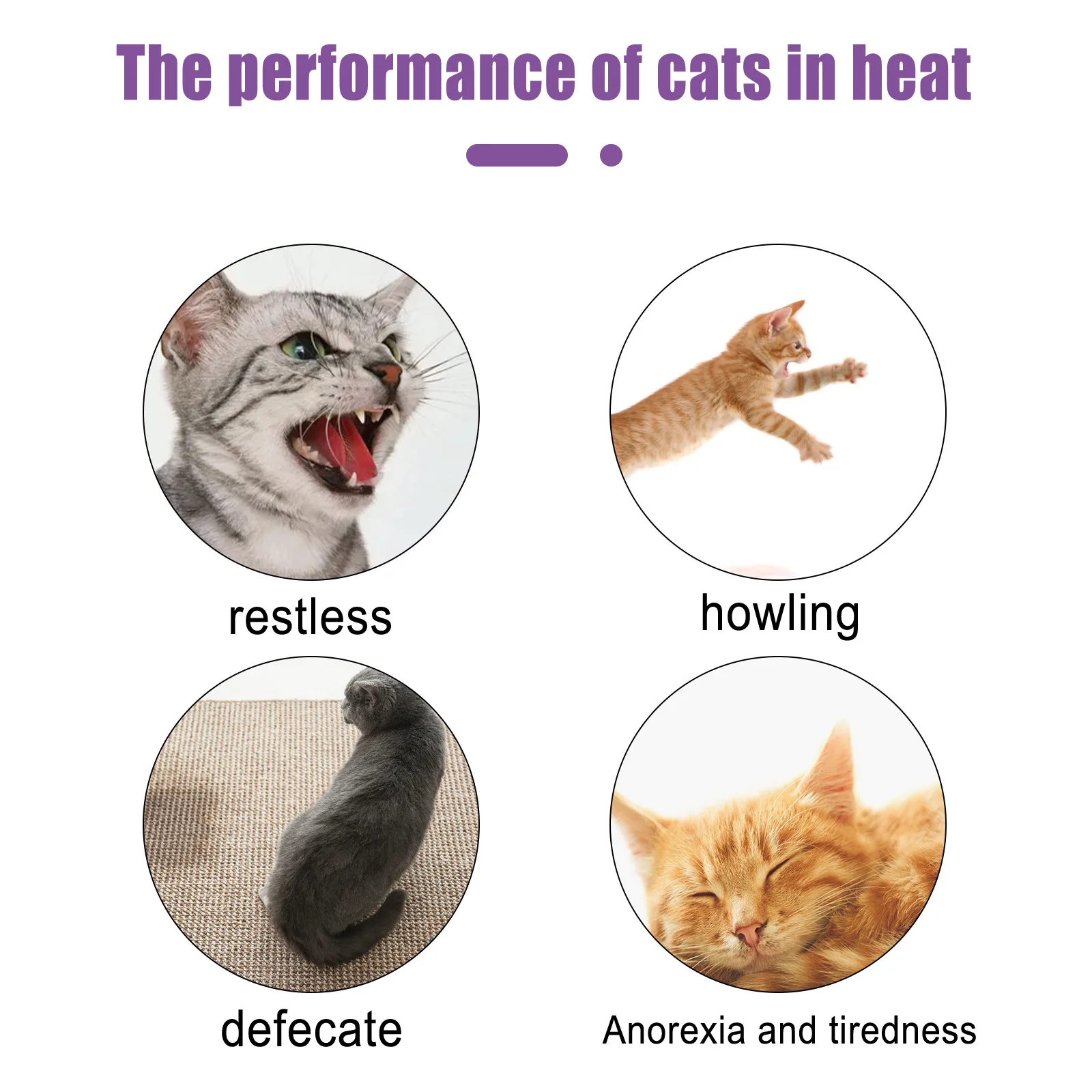 Pet Estrus Calming Spray Cat Anti Anxiety Liquid Prevent Howling Pet