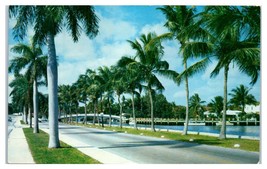 Las Olas Boulevard Fort Lauderdale Florida Cartolina - £55.85 GBP