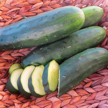 25 Seeds Marketmore 97 Cucumbers Planting Easy To Grow Garden Fresh USA Shipping - $9.89