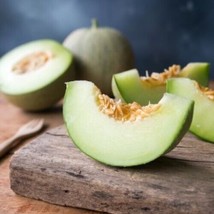 15 Seeds Tam Dew Melon Fruit Fresh Seeds - $7.38