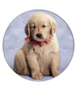 Golden Retriever Red Bow : Gift Coaster Dog Pet Animal Puppy - $93.09 MXN