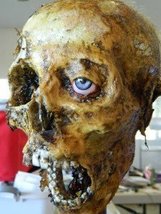 Halloween Horror Movie Prop Human Corpse Skull Head Half Skull - $110.00