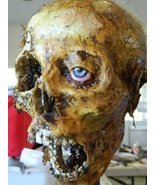 Halloween Horror Movie Prop Human Corpse Skull Head Half Skull - £86.32 GBP