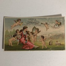 Hall’s Hair Renewer Victorian Trade Card Nassau New Hampshire VTC 5 - £4.77 GBP