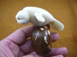 (TNE-MAN-86b) Manatee Manatees Sea Cow Tagua Nut Figurine Carving Dugong Mammal - £21.29 GBP