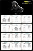 2022 Magnetic Calendar - Today is My Lucky Day - Dogs Themed 05 (5.25 x 8) - £7.81 GBP