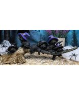 Halloween 5 Black Kitten Cats With Witch Hat Riding Magical Broomstick F... - $492.62 MXN