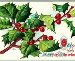May You Have a Merry Christmas Holly Branch Berries Embossed 1912 DB Pos... - $8.87