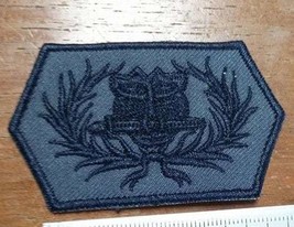 RANGER Royal Thai Army Fabirc Patch - $8.00