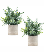 2 Pack Small Fake Plants Eucalyptus Potted Artificial Plants for Shelf D... - €17,92 EUR 2 Pack Small Fake Plants Eucalyptus Potted Artificial Plants for Shelf D... - €17,92 EUR