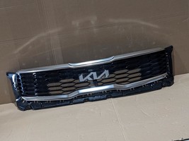 OEM 2020-2024 Kia Telluride Radiator Front Satin Grill with Camera 86350... - $341.55