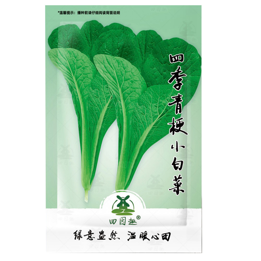 2000Pcs Choi Seeds Green Stem Chinese Cabbage Bok Choy Four Season Veget... - $14.90