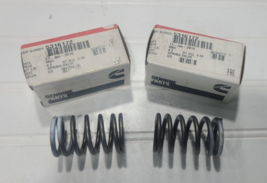 2  Genuine OEM Cummins Valve Springs 5316172 8.9L 8.3L 9 ISC/ISL QSM Eng... - $422.63 MXN