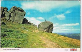 Postcard Cow &amp; Calf Rocks Ilkley UK  - £2.28 GBP