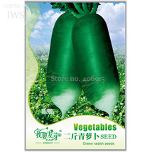 Green Radish Seed Best Garden Plants Vegetable Seeds, 60 seeds, natural organic  - £3.59 GBP