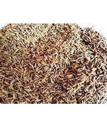 Zoysia Japonica Grass See Details, 30000 SEEDS D - $22.35