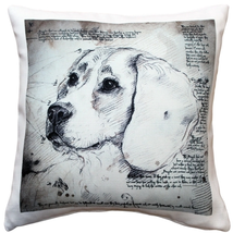 Beagle 17x17 Dog Pillow, Complete with Pillow Insert - £41.24 GBP