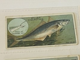 WD HO Wills Cigarettes Tobacco Trading Card 1910 Fish Bait Lure 50 Scad ... - $19.69