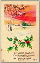 Christmas Greeting Holly Winter Cabin Scene UNP DB Postcard F8 - £2.19 GBP