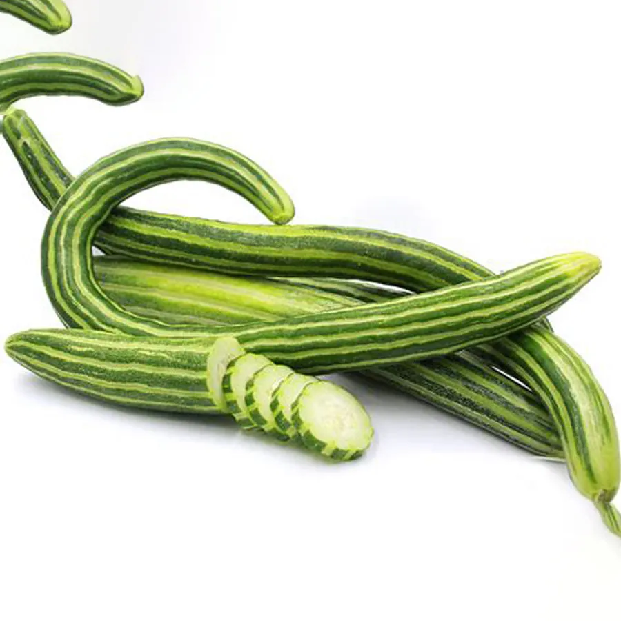 Fresh Cucumber Armenia Vegetable 50 Seeds Organic 1 meter Long  - $7.08