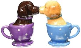 Pacific Trading Tea Cup Labs Ceramic Salt and Pepper Shaker Set 3.5 Inch - $17.80
