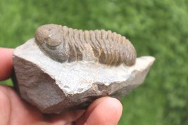 Item image 13