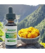 Dandelion Root Tincture - (Cardiovascular System) - £12.13 GBP