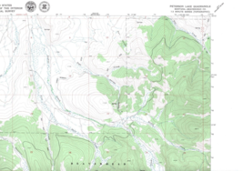 Peterson Lake, Montana 1979 Vintage USGS Topo Map 7.5 Quadrangle Topogra... - £18.80 GBP