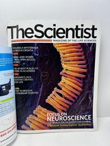 The Scientist: Magazine of the Life Sciences-November 2007-Focus on Neur... - £7.82 GBP