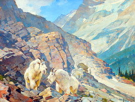 FRAMED CANVAS Art print giclee wild mountain goats Summit Lake British Columbia - $39.59+