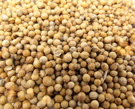 Coriander Seed Whole 1/4 oz Culinary Herb Flavoring Cooking US Seller - $0.98