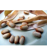 Colorado River Bean - colored like the sandstone of the Colorado Plateau - $7.47 CAD