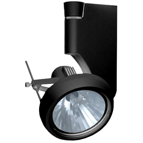 20W 3-Wire Single Circuit Track System Black - $48.22