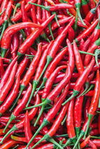 25 Cayenne Peppers Easy to Grow Seeds Vegetable Garden Edible - £10.86 GBP