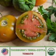 Thorburn&#39;s Terra-Cotta Tomato Seeds, Organic, Open-Pollinated, Non-GMO 1... - £9.57 GBP
